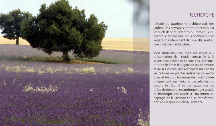 paysage de lavande et texte de présentation des recherches